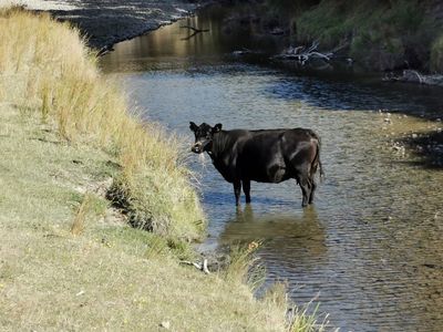 Water report shows the problem, but can’t enforce the solution