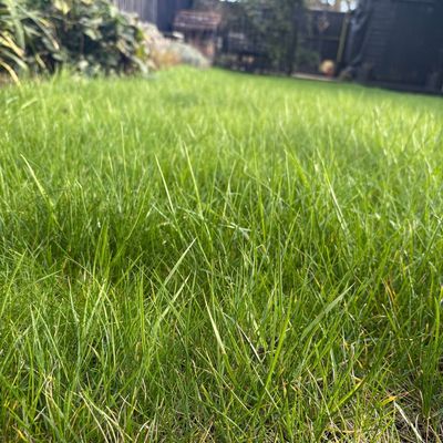 The 'one-third rule' is crucial for cutting your grass in April – experts say it'll keep your lawn healthy and stress-free