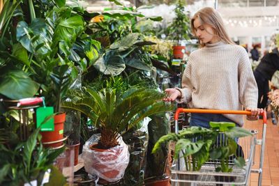 The Mid-Season Clearance Hack: How to Score ‘Dead’ Plants for 90% Off