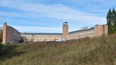 ‘Won the lottery twice’: Oslo patient stuns scientists as HIV vanishes after brother’s stem cell miracle