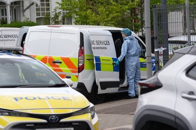 Two arrested over attempted arson attack on north London synagogue