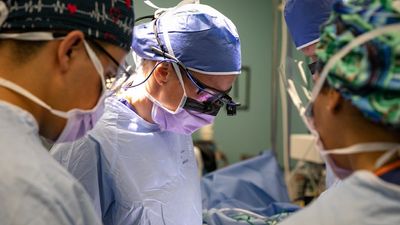 Florida surgeon couldn’t tell the difference between a liver and a spleen and now a patient is paying for it