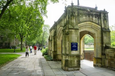 Teacher, blame thyself: Yale report savages Ivy League schools for destroying American trust in higher education