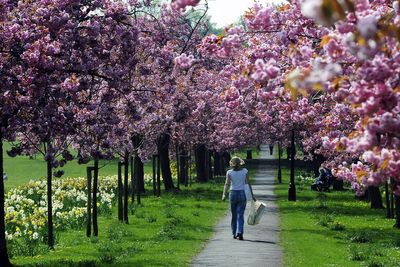 Hotspots where asking rents have surged revealed amid wider price standstill