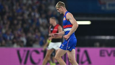 Dogs stars cleared for Cats clash but English still out