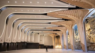 Vast arts space endures delays, shelving, grumpy locals