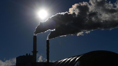 Climate emitters opt for cheap offsets, few real cuts