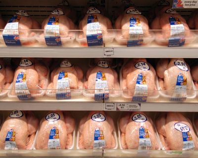 UK could face gaps on supermarket shelves by summer if Iran war continues