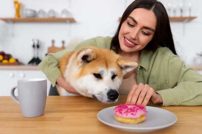 5 Common Homemade Foods That May Harm Your Dog