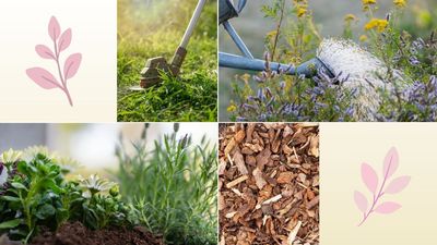 7 common spring gardening mistakes to avoid this season to ensure a healthy, thriving plot by summer