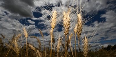 Albanese and Indonesian governments land fertiliser supply deal for farmers