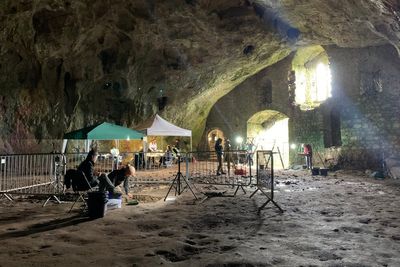 Archaeologists to reveal secrets of Welsh castle’s hidden cave that was once home to ancient hippo