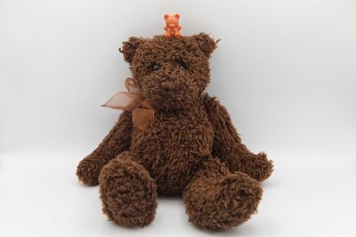 A raggedy toy to a treasured symbol of childhood: The teddy bear
