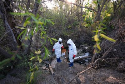 Miles sufren problemas de salud por las toxinas de las aguas residuales del río Tijuana