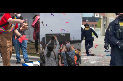 Why Are Protesters Throwing Sex Toys at ICE Agents? Inside 'Operation Dildo Blitz'