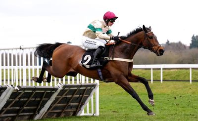 Friday horse racing tips: Best bets for Newbury