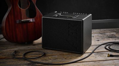 "The simple layout, compact size, and beautiful tone have made me excited to pick up my acoustic guitar again and again": AER Compact 60/4 review