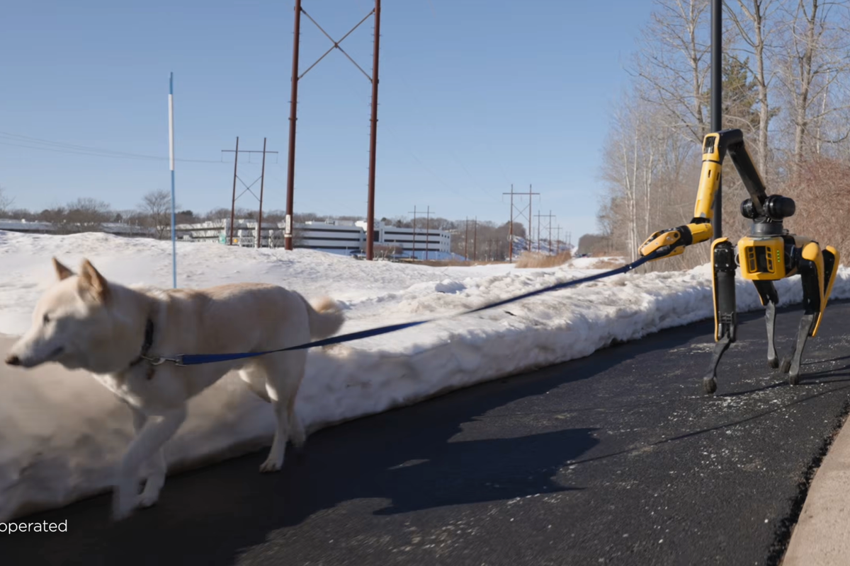 Dog Using Machine New AI-powered robot dog can perform household chores…