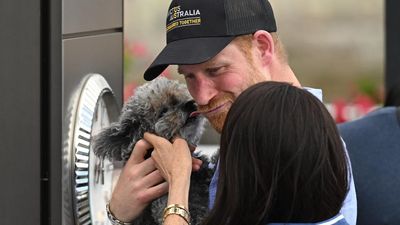 Ruff treatment for royals during day in the Sydney sun