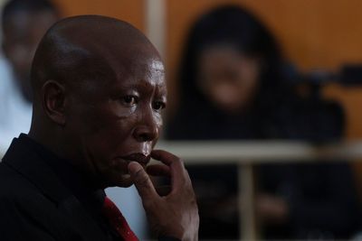 South African politician Julius Malema sentenced to 5 years for firing rifle shots at rally