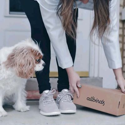 Has Allbirds Thought Through Its AI Bet — Or Is This A Leap Too Far?