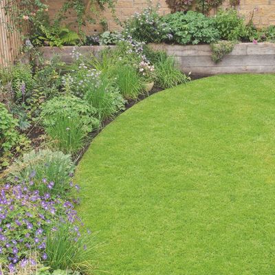If your grass seed isn't growing, this is the reason why – here's what you can do to fix it according experts