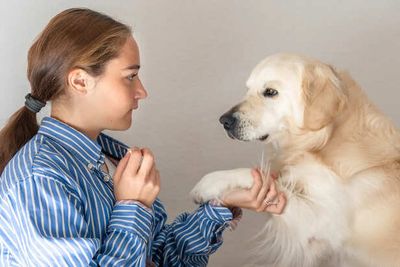 Understanding Your Pet’s 4 Common Body Language