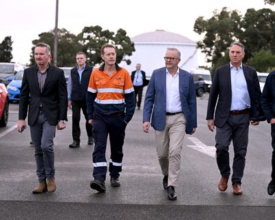 Fuel prices fall despite Geelong refinery blaze as Albanese says facility production has slipped by 40%