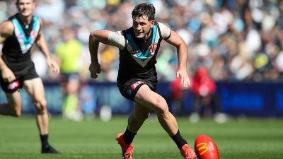 In-game reports should be scrapped: Port coach