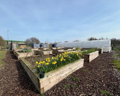 Country diary: A hardworking meadow that is surely worth saving