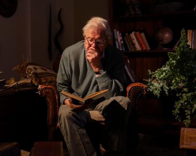 A Gorilla Story: Told By David Attenborough review – like one of our last meetings with an adored relative