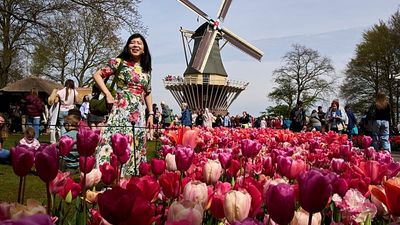 Netherlands Keukenhof draws global visitors for spring display
