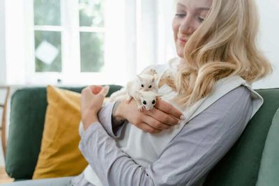 Why Exotic Pets Are Becoming More Popular Than You Think