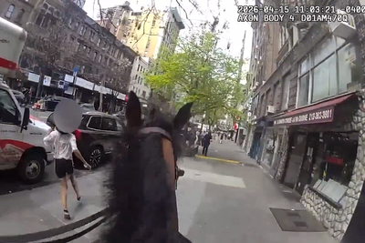 NYPD officer on horseback chases down alleged purse thief through Manhattan streets