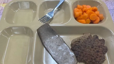 Viral US Sailors' Food Photo 'AI-Edited'? Insider Questions Image and Ship Link