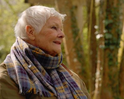 A statue of Queen Victoria, memorial trees and a swimming pool: Judi Dench’s garden – in eight poignant items