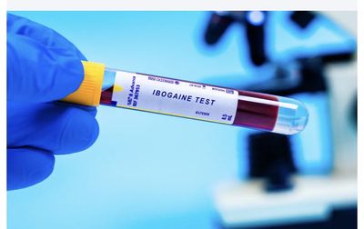 Veterans are traveling to Mexico to Get Ibogaine for PTSD, now Trump Plans to Order Study on Psychedelic Drug