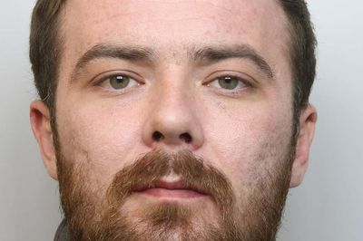 XL bully owner jailed after dog savaged pensioner in fatal attack