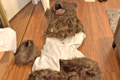 Fraudster dresses as bear to scratch luxury cars in insurance scam