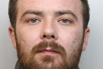 XL bully owner jailed after dog fatally savaged man