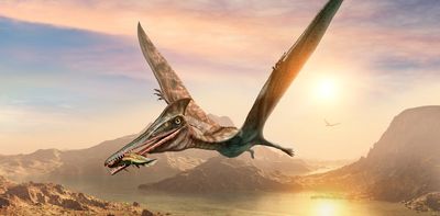 How we worked out a fossilised ‘pterosaur’ was actually a fish – new research