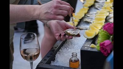 Over 15m oysters to be released in North Sea as UK launches major rewilding project