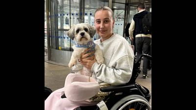 UK vet costs shock: Pet MRI scans now pricier than private human scans