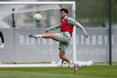 Tottenham Hotspur second summer signing revealed: report