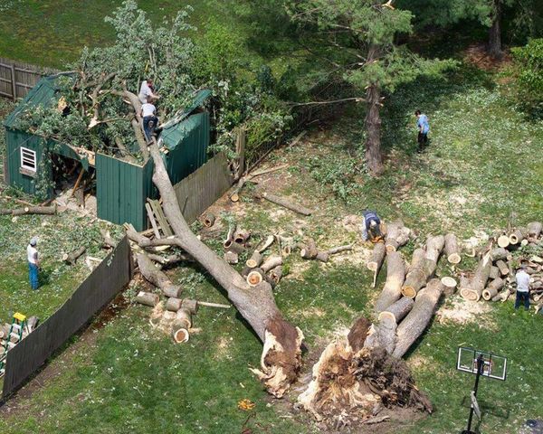 US midwestern states at risk of severe thunderstorms, weather agency warns