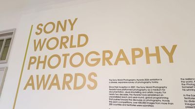 Sony just announced the 2026 World Photography Awards results — here are the winners