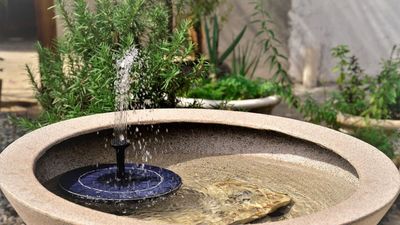 Lidl's Solar Fountain Kit Will Transform Any Size Yard Into a Peaceful Solace – It's Perfect For Attracting Birds This Spring