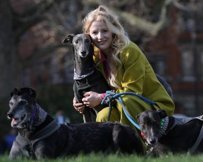 Green MP: Labour caricatures working-class people over greyhound racing