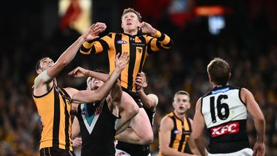 Hawks stars face match review scrutiny after tight win