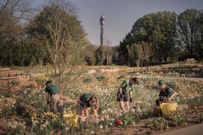 A prickle of hedgehogs and an armada of newts: wildlife settles in at London’s new Queen Elizabeth garden